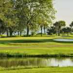 Golf Clubs