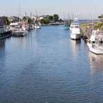 Whats on in Mount Pleasant